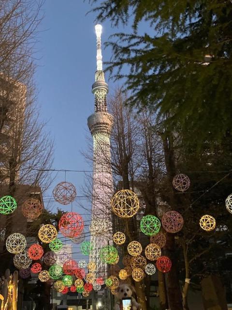 Sky Tree Inn Ⅱ（晴樹宿ⅱ） Prefektura Tokio Exteriér fotografie