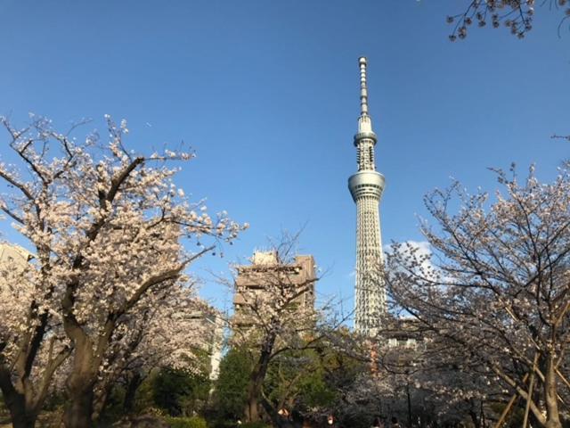 Sky Tree Inn Ⅱ（晴樹宿ⅱ） Prefektura Tokio Exteriér fotografie
